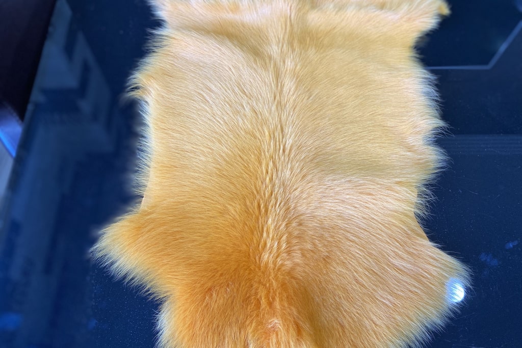 Simena deri ürün ve fabrika görselleri